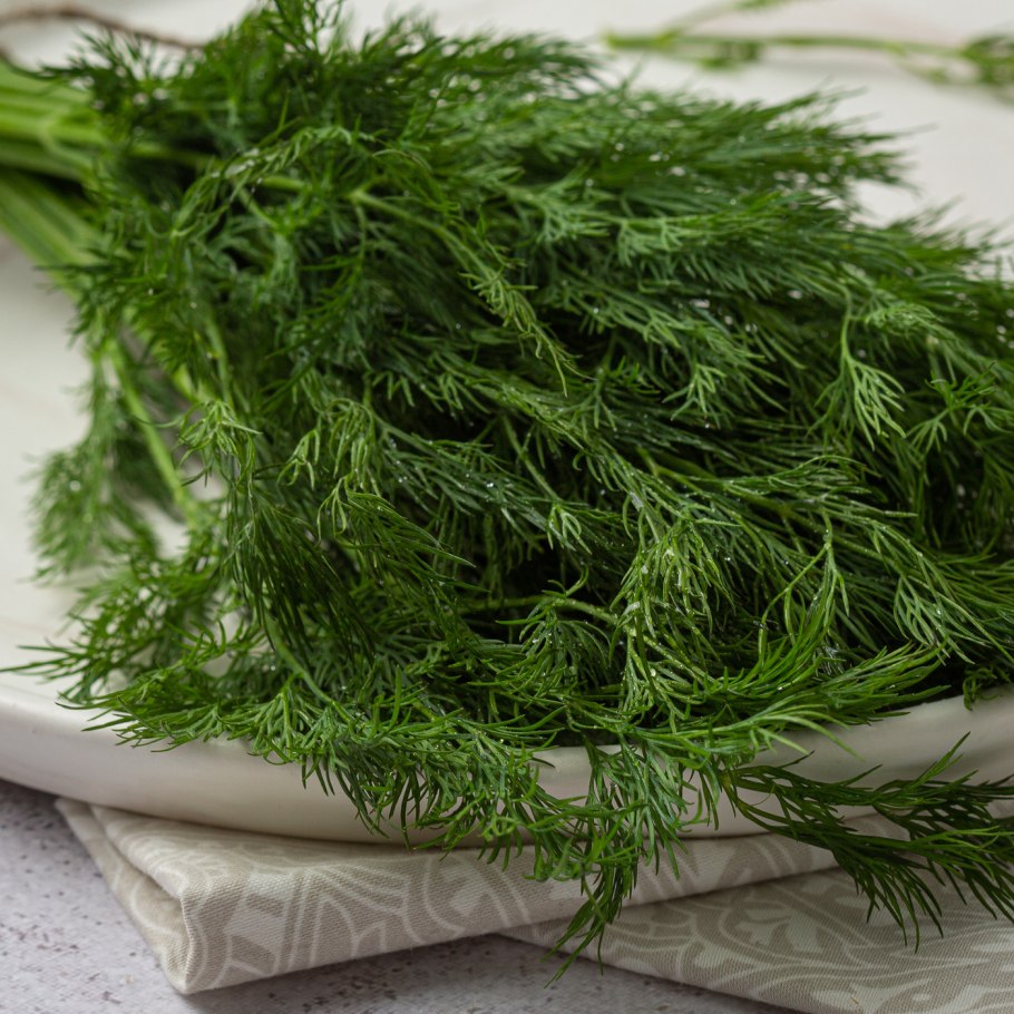 Зонтики укропа фото