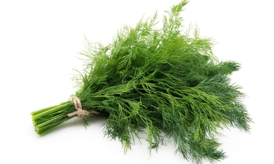 Укроп Гренадер (1+1=3) 4г Гавриш