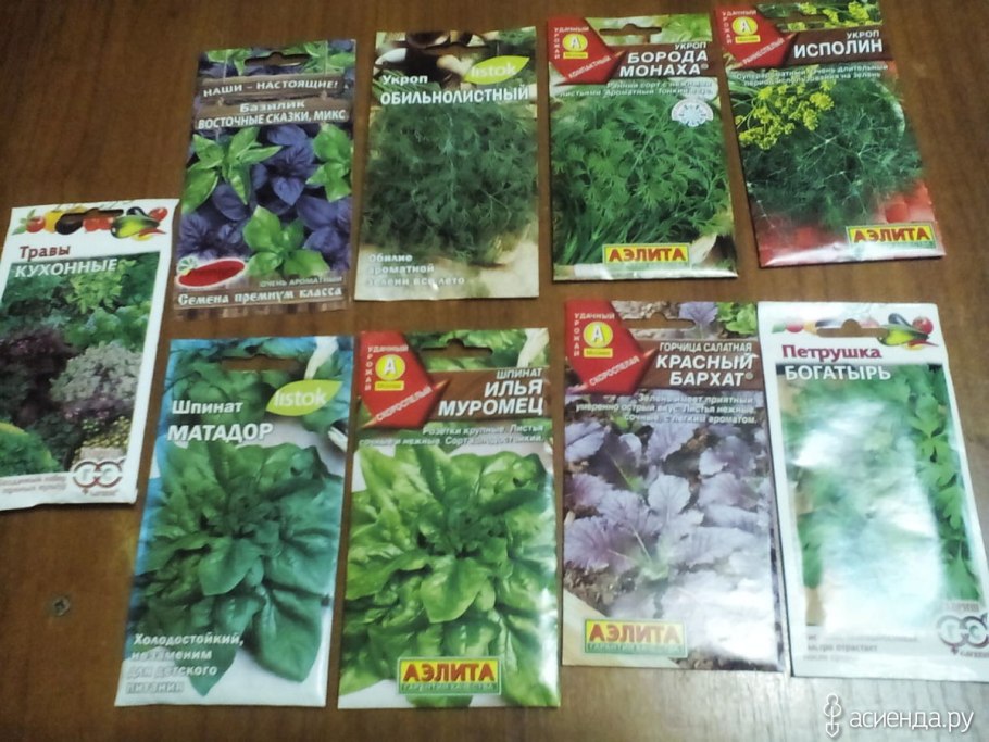 Укроп кустистый 2г (СЕДЕК)