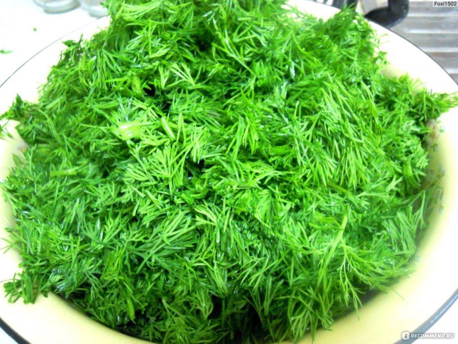 Укроп большой