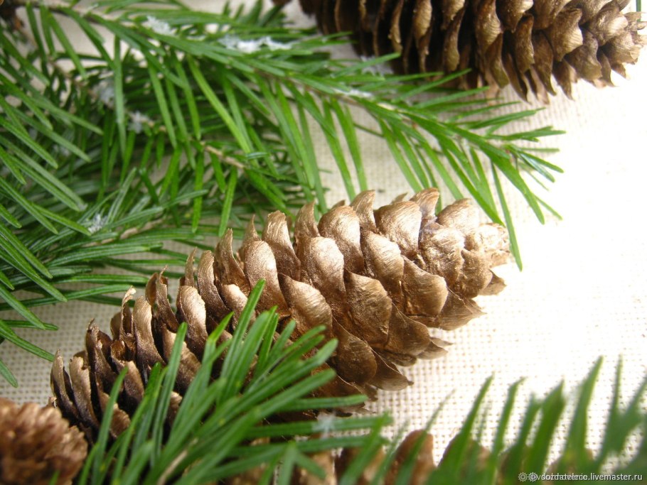 Комбинаторика древесные шишки