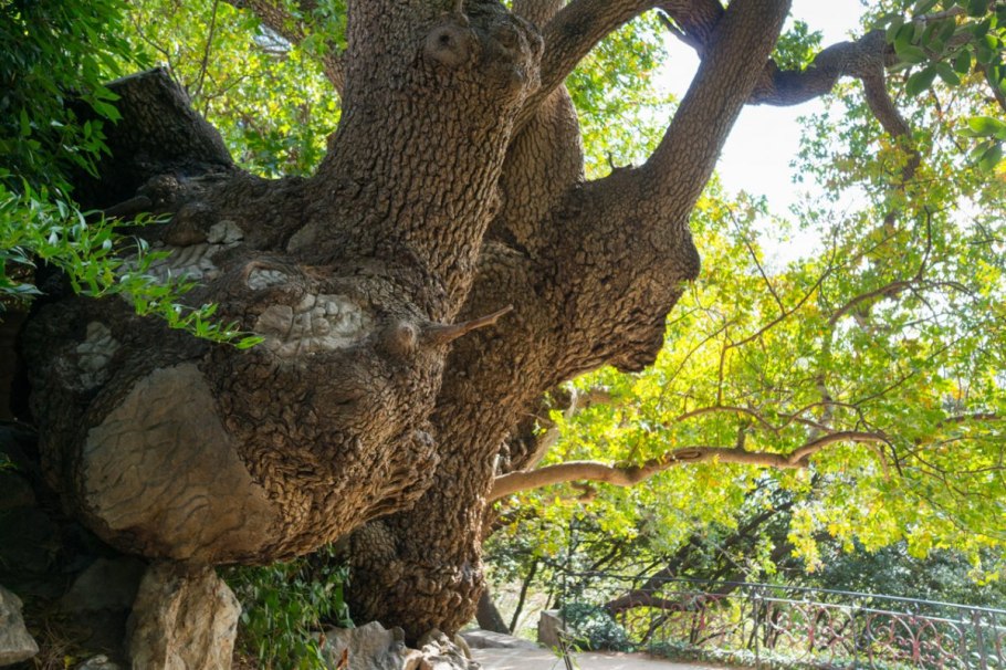 Верхняя Ореанда Крым