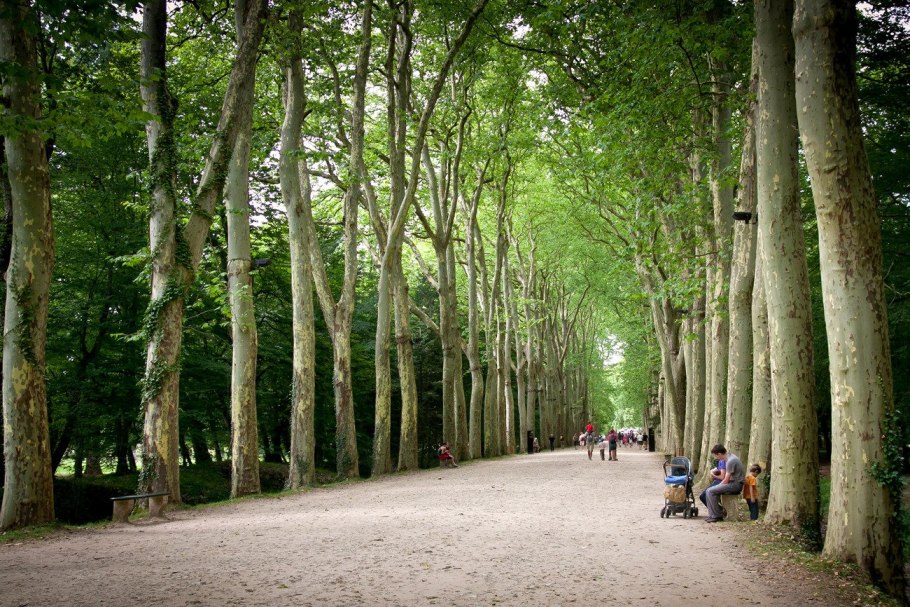 Пансионат ветеран нижняя Ореанда