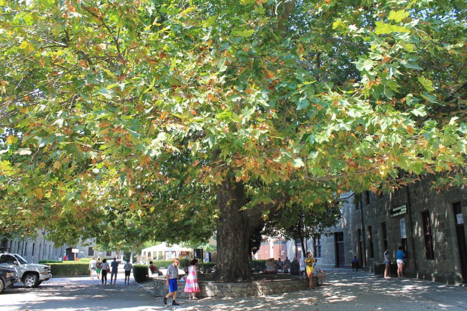 Отель Ялта 89789448330 нижняя Ореанда