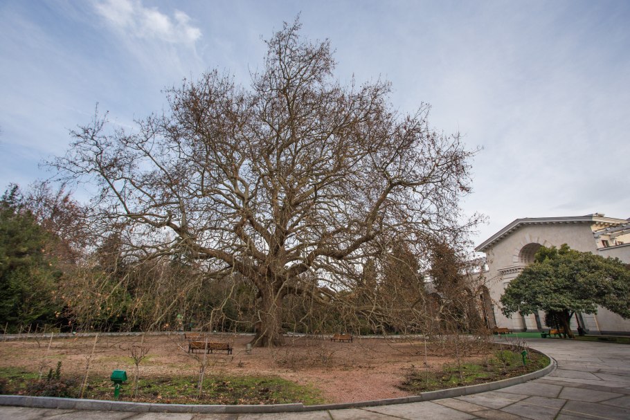 Крым Респ., г. Ялта, пгт. Ореанда, д. 3в, кв. 54