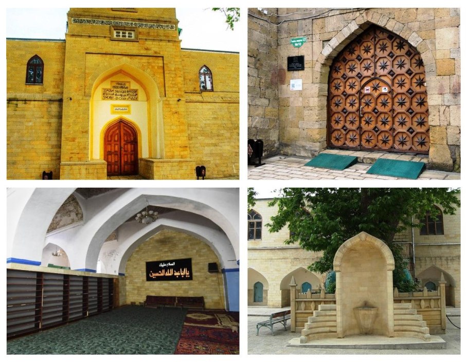 Платан в с. Нютюг