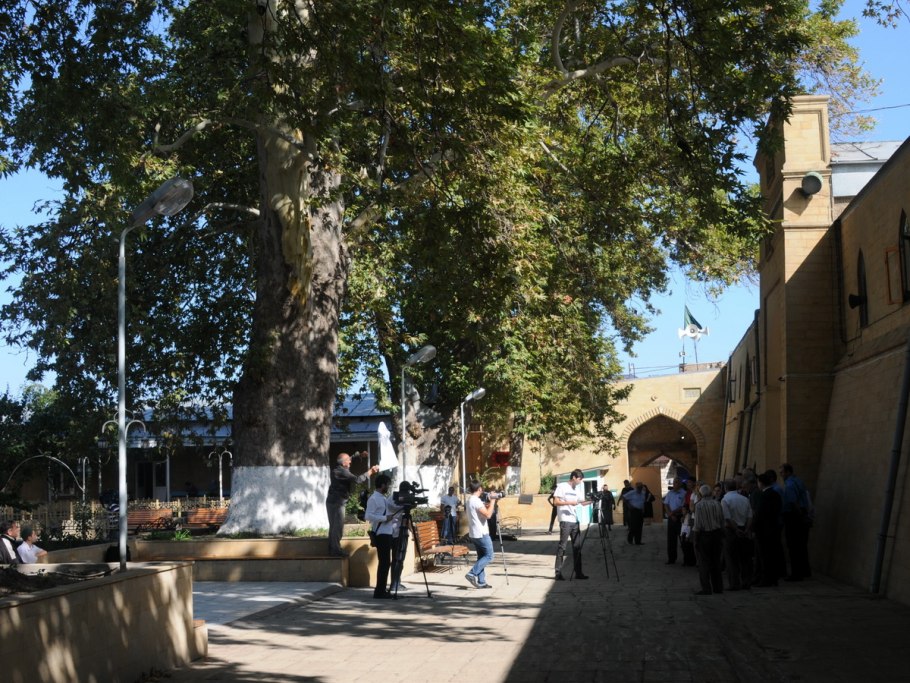 Дербентский Платан