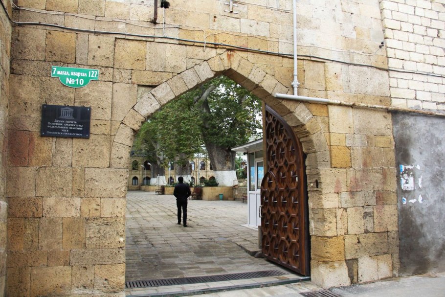 Конкурс европейское дерево года 2022