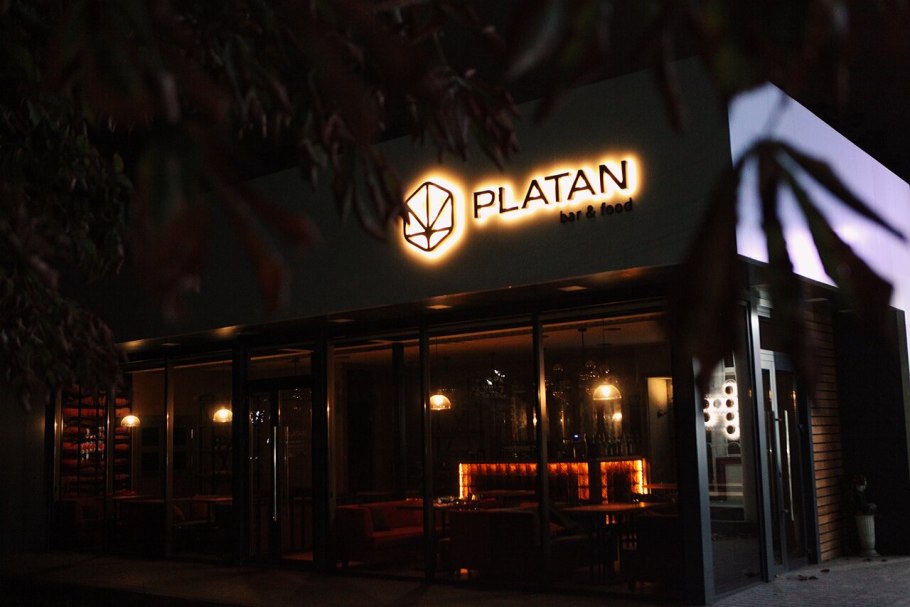 Дерево Испания Платан