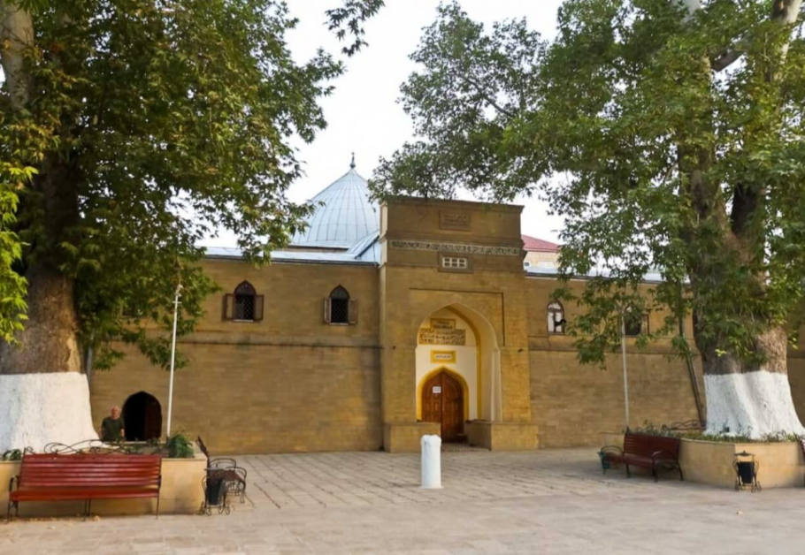 Европейское дерево года 2021