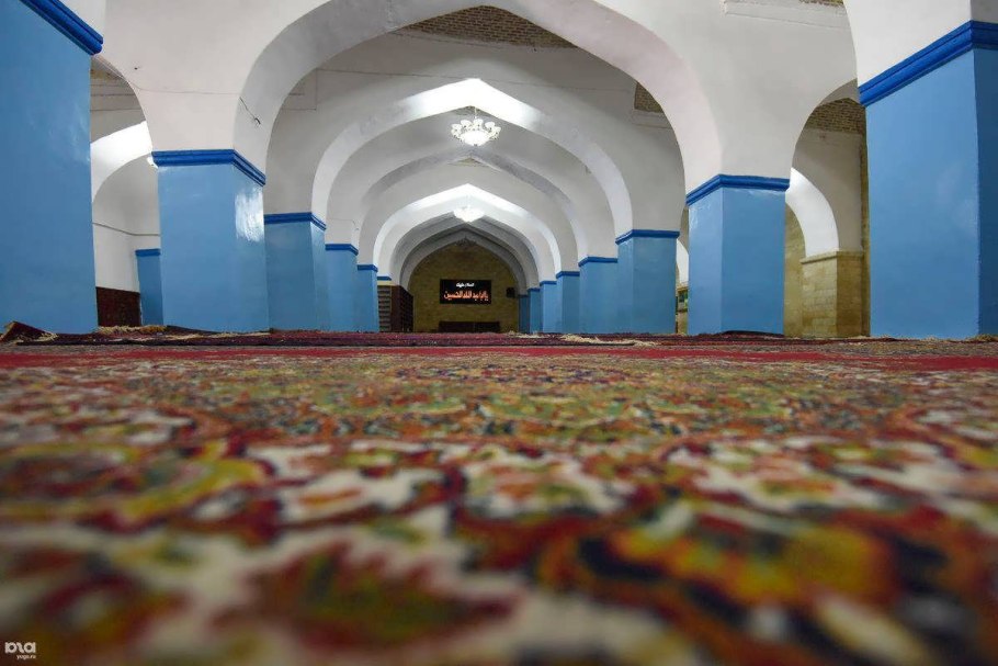 Traiside Treeline 2 80/34