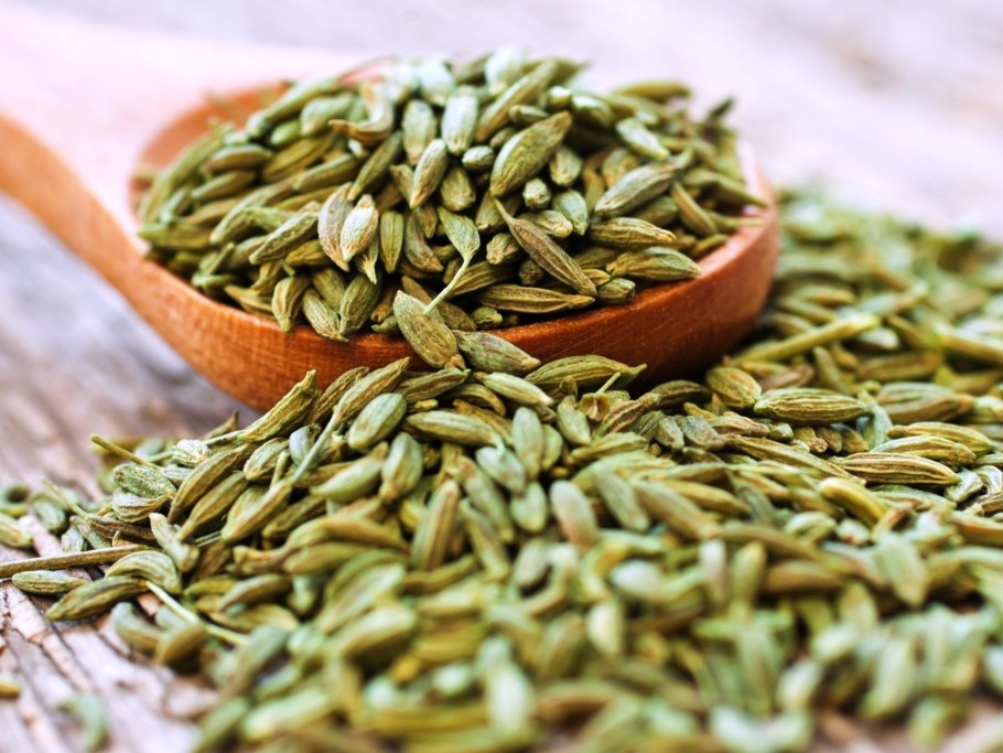 Фенхель фото зерна