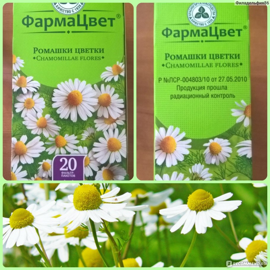 Ромашка аптечная