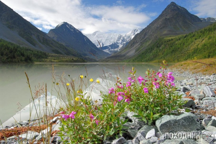 Алтайский заповедник Альпийские Луга