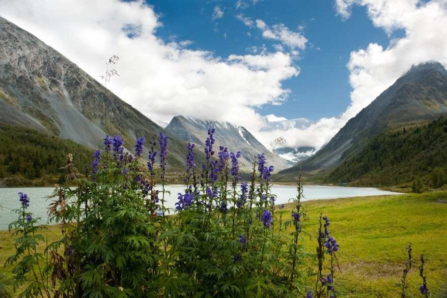 Горный Алтай Светлана Казина