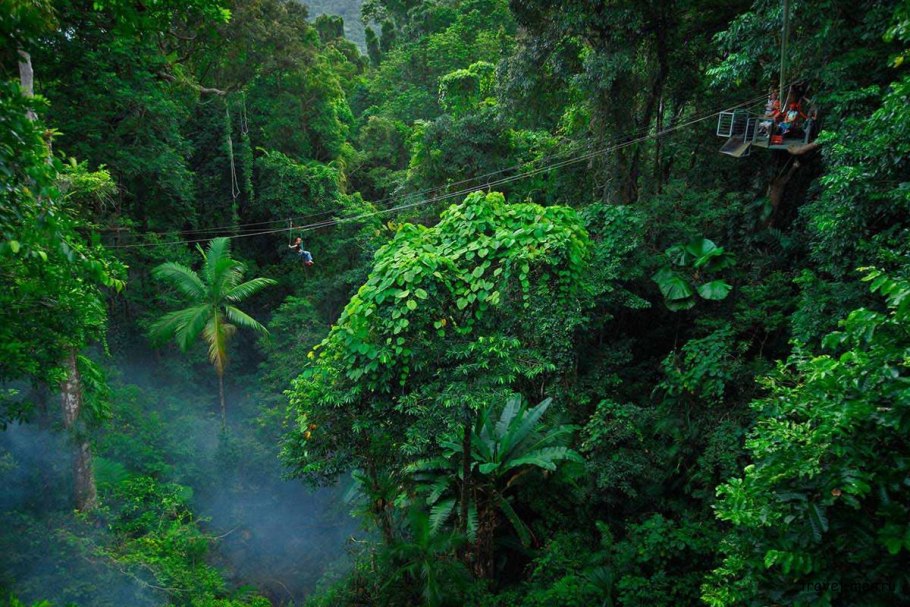 Лес Дейнтри Австралия