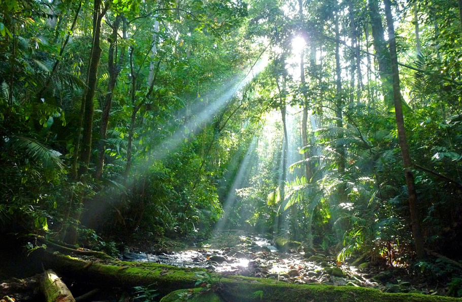 Национальный парк Дейнтри