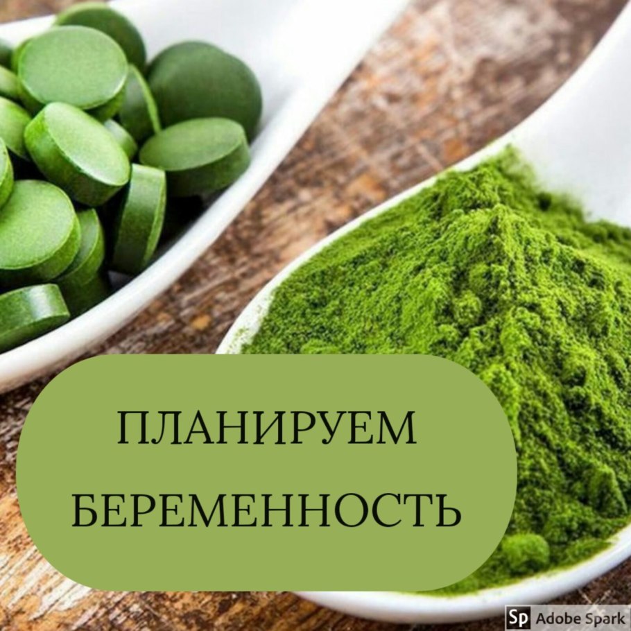 Зеленые водоросли Chlorophyta