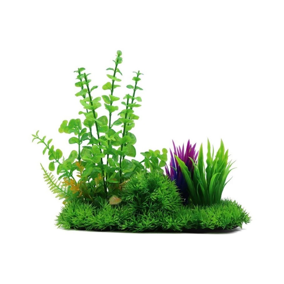 Гигрофила Пиннатифида