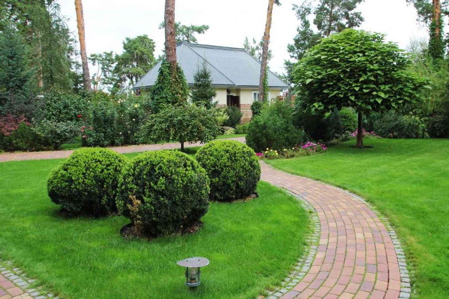 Озеленение участка