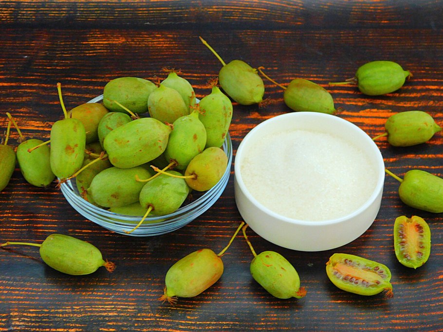 Актинидия коломикта Ленинградская крупноплодная