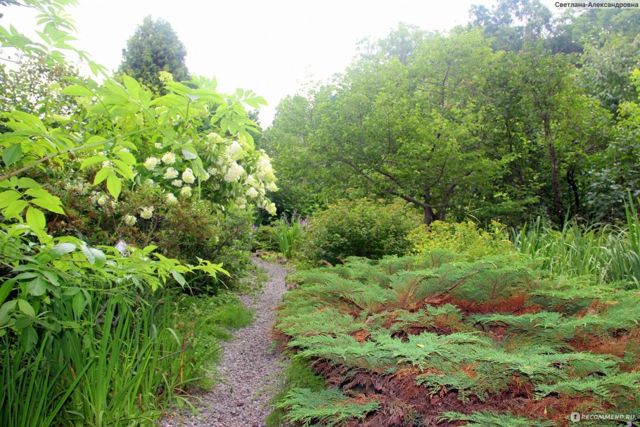 Арборетум Мустила