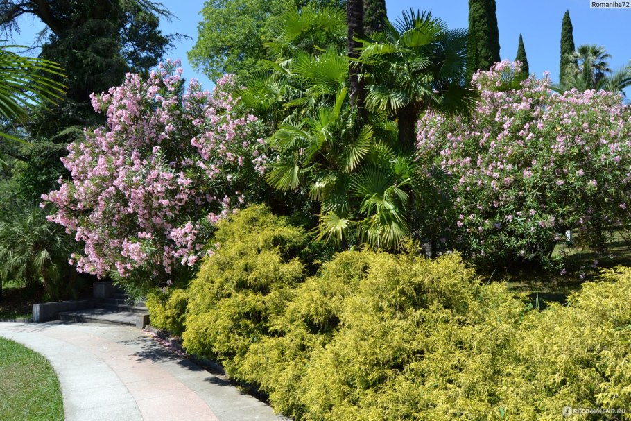 Хабаровский дендрологический парк