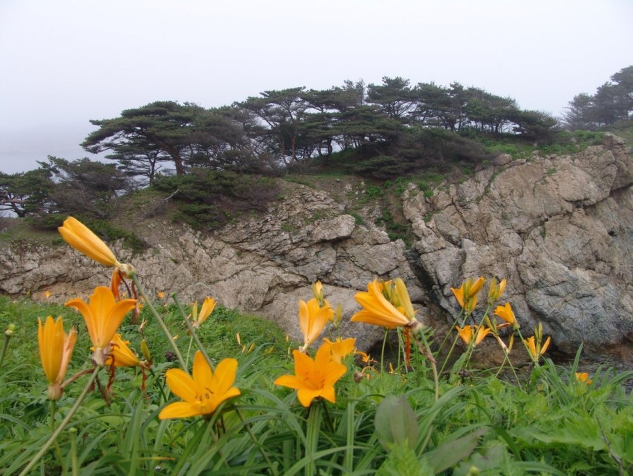 Цветущий Дендрарий Сочи