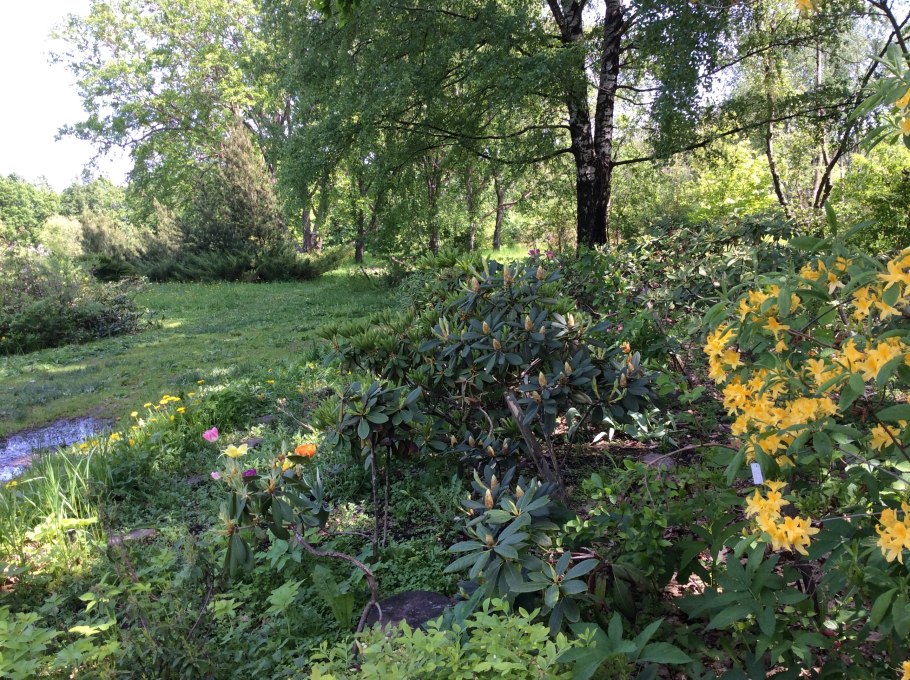 Ботанический сад Миссури сент-Луис