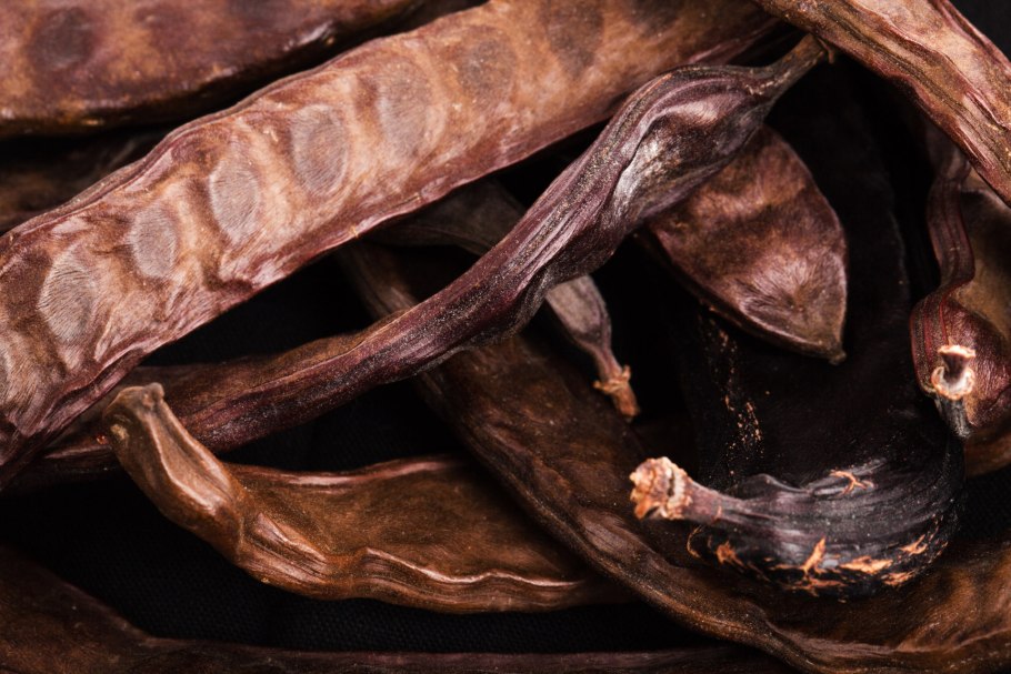 Карруба дерево