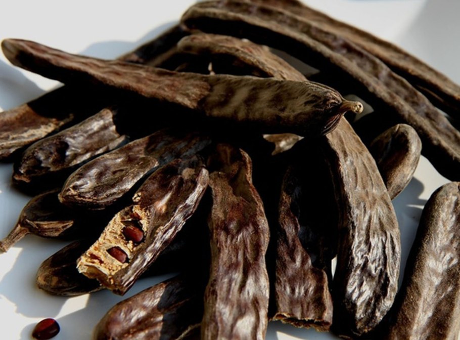 Цератония стручковая