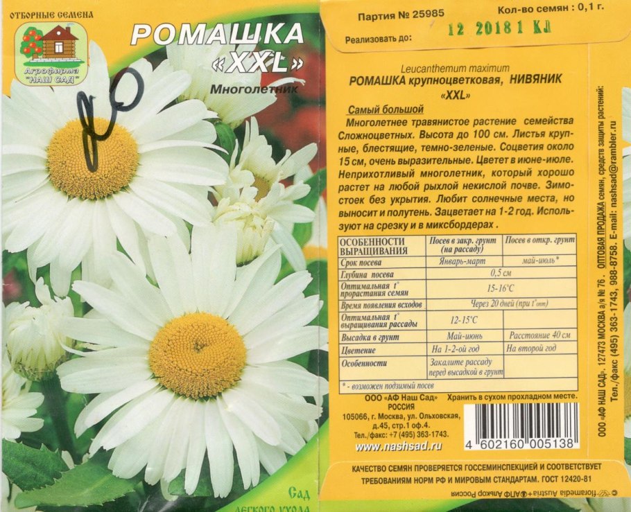 Обои для телефона ромашки качество