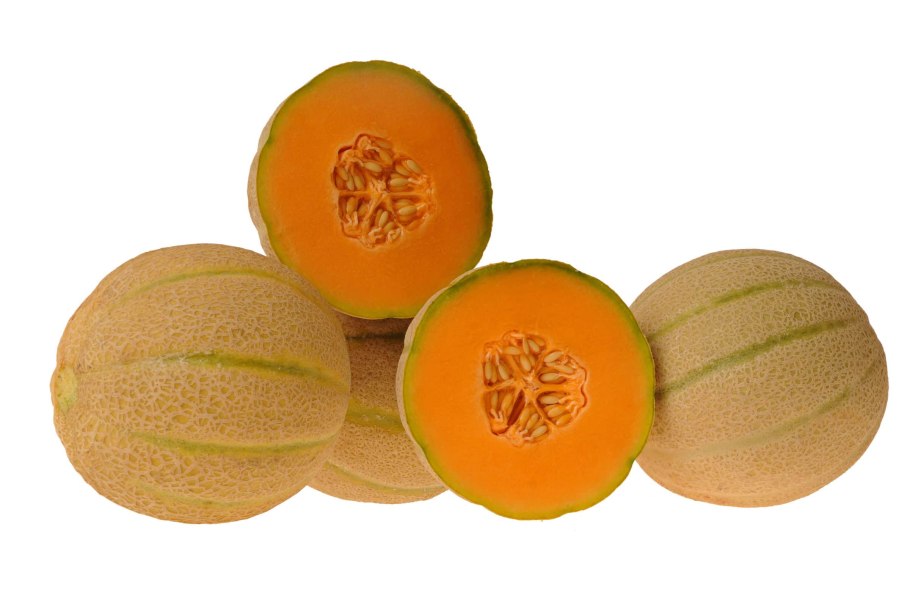 Канталупа ги