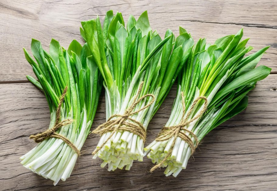 Черемша Байкальская