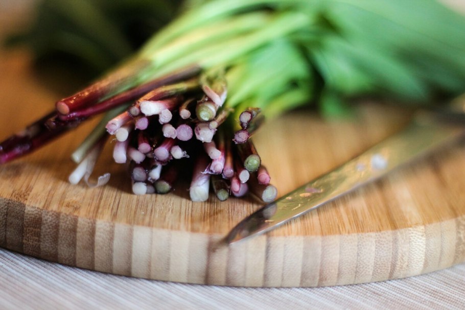 Черемша зеленая