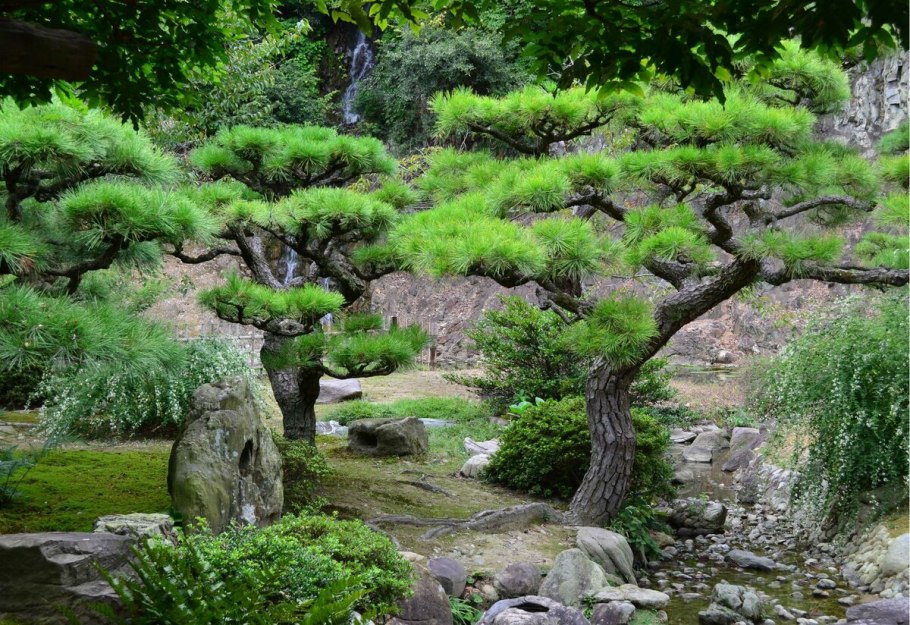 Коичи курису ландшафтный дизайнер его сады