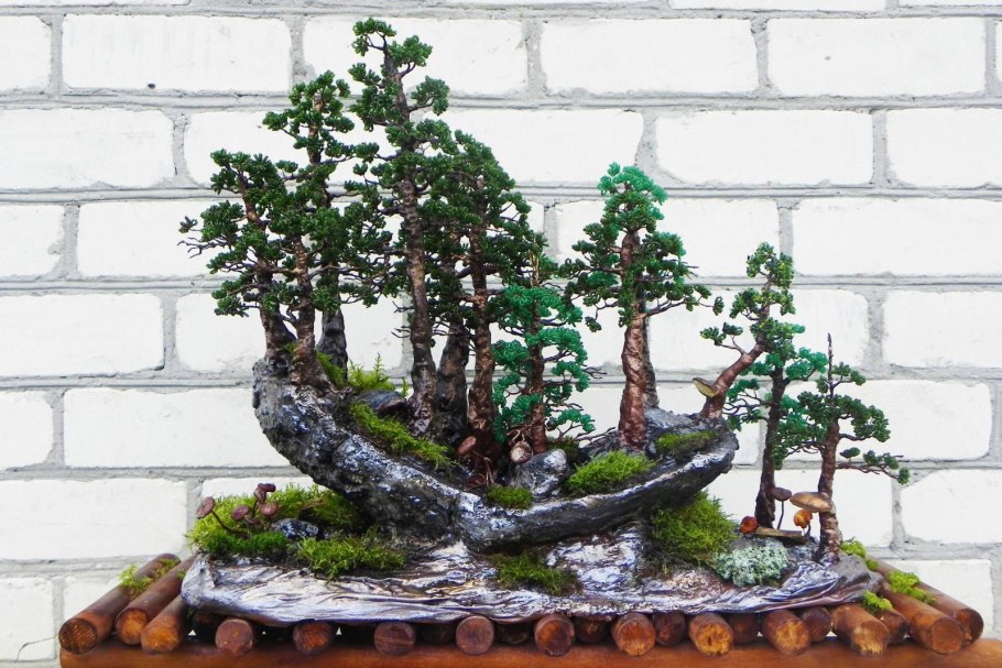 Дерево бонсай