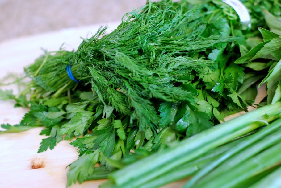 Ревень растение