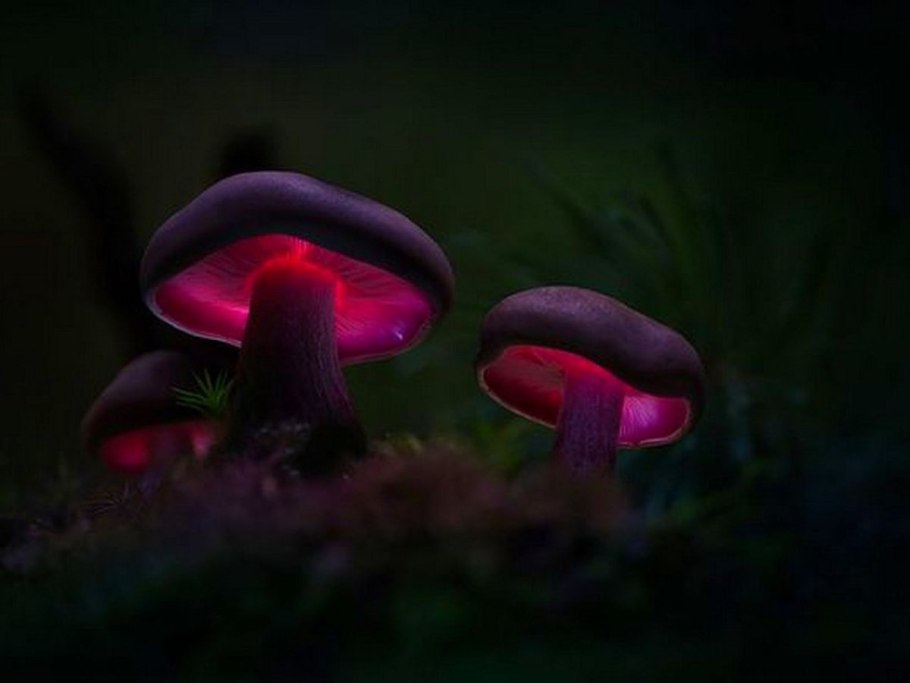 Фонтан в Даларане