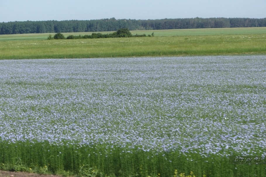 Парк Хитачи Сисайд