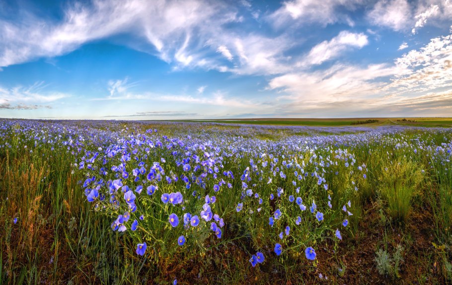 Степи Луга Ставрополья