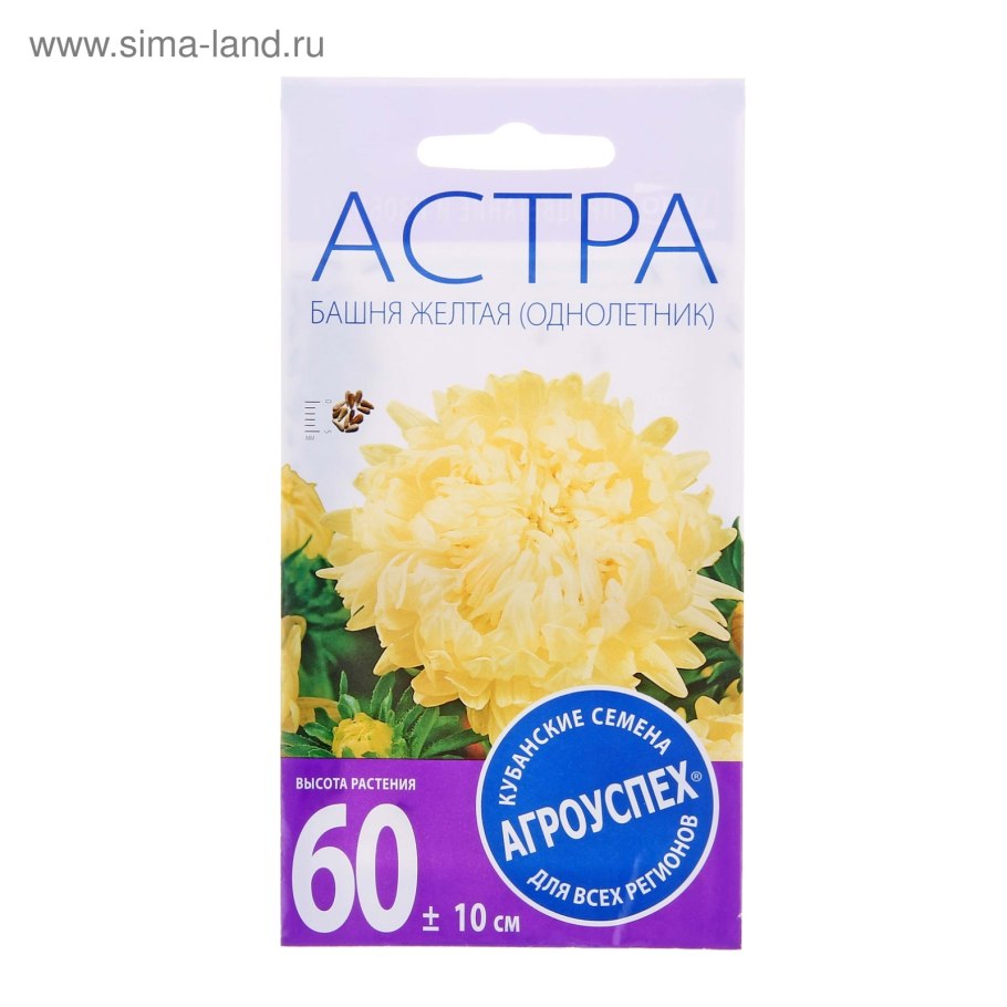 Георгина отражение нарцисса