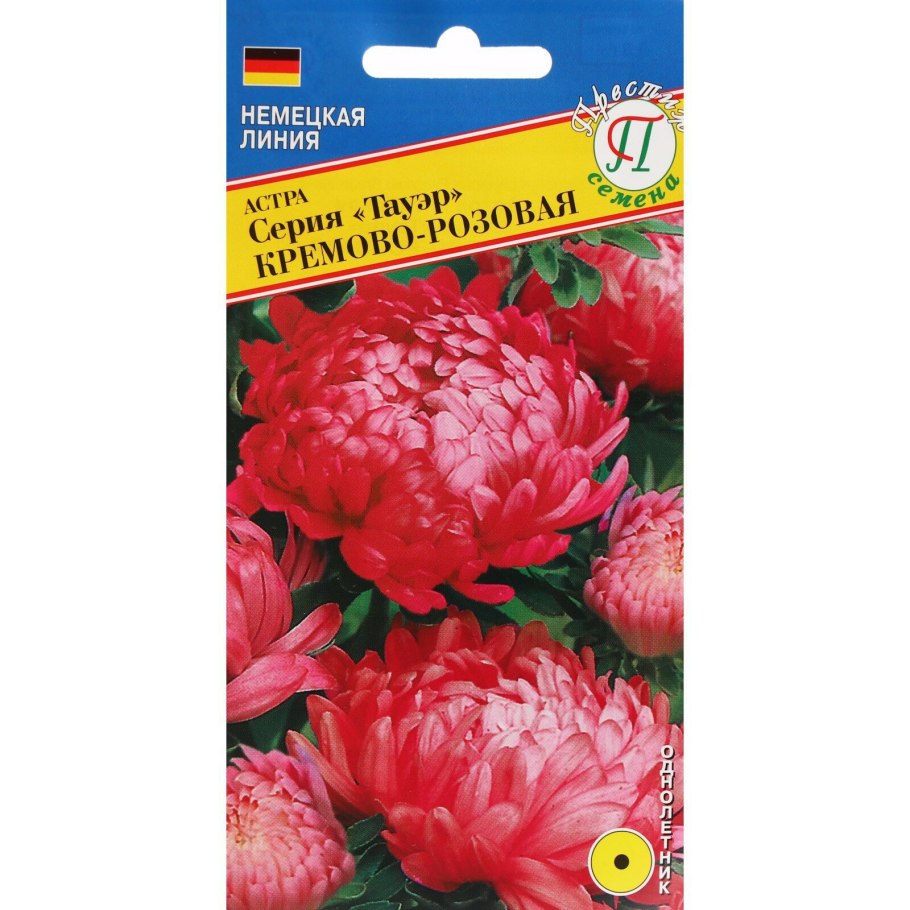 Астра балун Еллоу