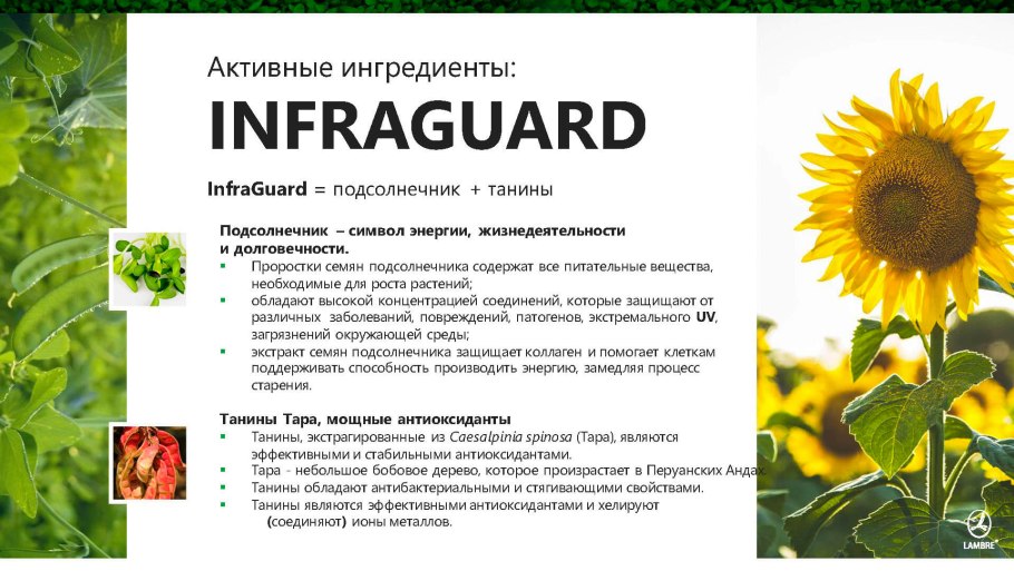 Инфографика подсолнечник