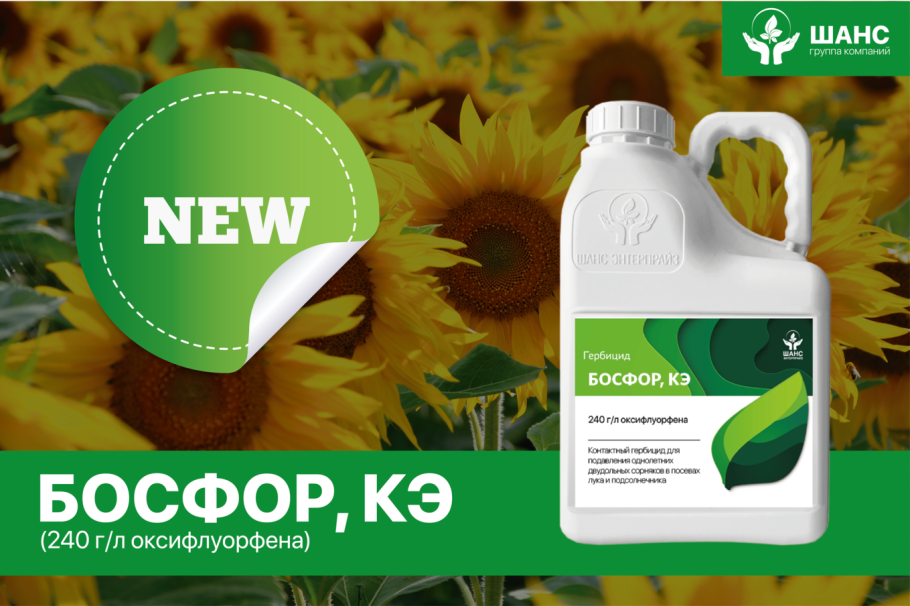 Подсолнух ЭФКО