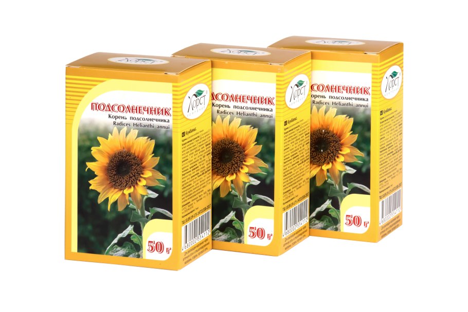 Пионер 66 подсолнечник