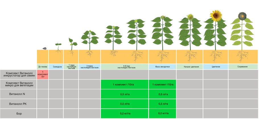 НПО сила жизни