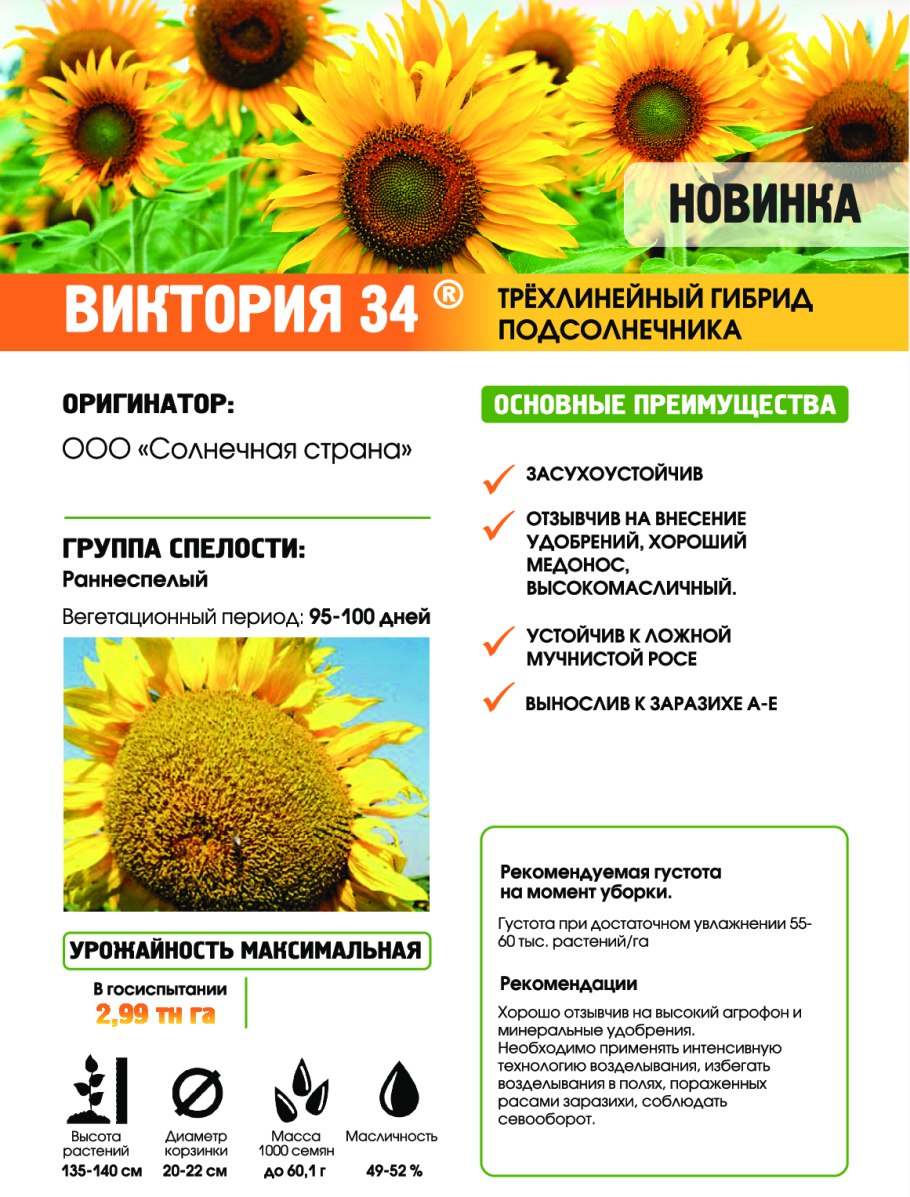 Сигнал гибрид подсолнечника