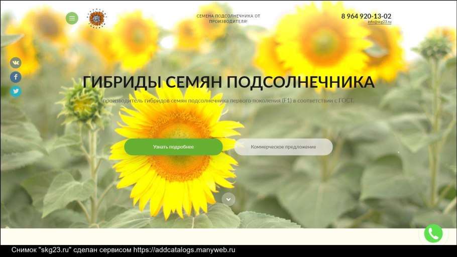 Сингента подсолнечник таблица