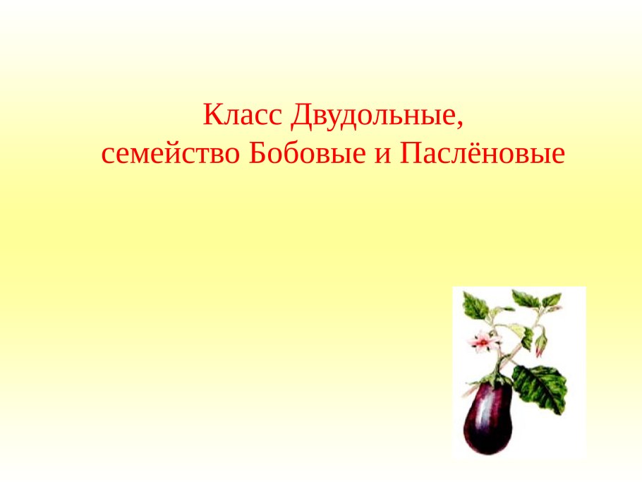 Класс двудольные Пасленовые